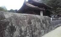 110805_1406~001.jpg